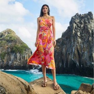 NWT FARM RIO FRUIT BRUSH CUTOUT MIDI DRESS